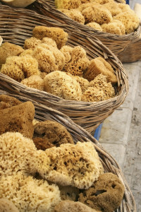 Natural Sea Sponges in Baskets