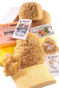 Acme Brand Sponge Collection