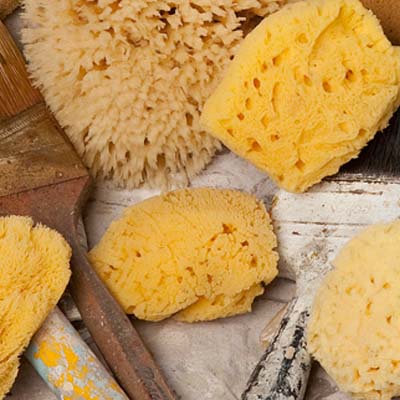 Great for Painting 4 Large Natural Ocean Sea Sponges for Arts and Crafts 2 pcs of 4-5, 2 pcs of 5-6 Unbleached 4 Pack Decorating and DIY Projects 