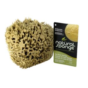 The Natural Brand - Wool Sea Sponge 6-7 Inch SW #1-6070C | Front with Label
