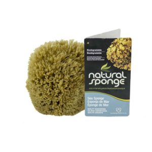 The Natural Brand - Yellow Sea Sponge 4-5 Inch Y-4050 | Front with Label
