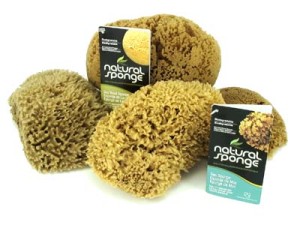 The Natural Sea Sponge Collection Yellow and Wool