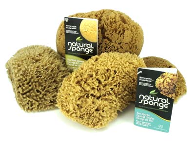 Acme Natural Sea Sponge Products - Acme Sponge Company