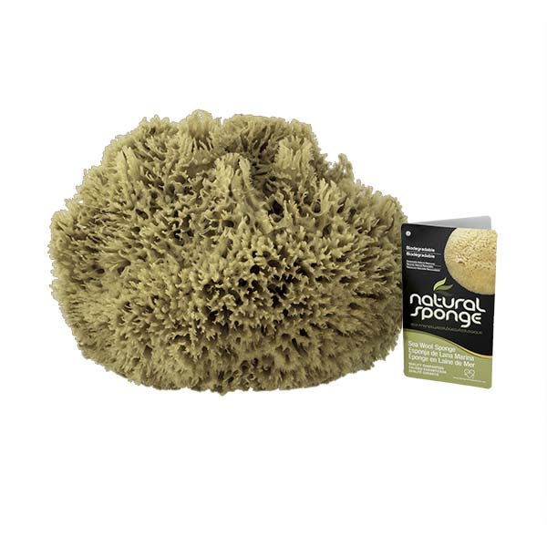 The Natural Brand - Wool Sea Sponge 11-12 Inch SW #1-1112C | Front w/ Label