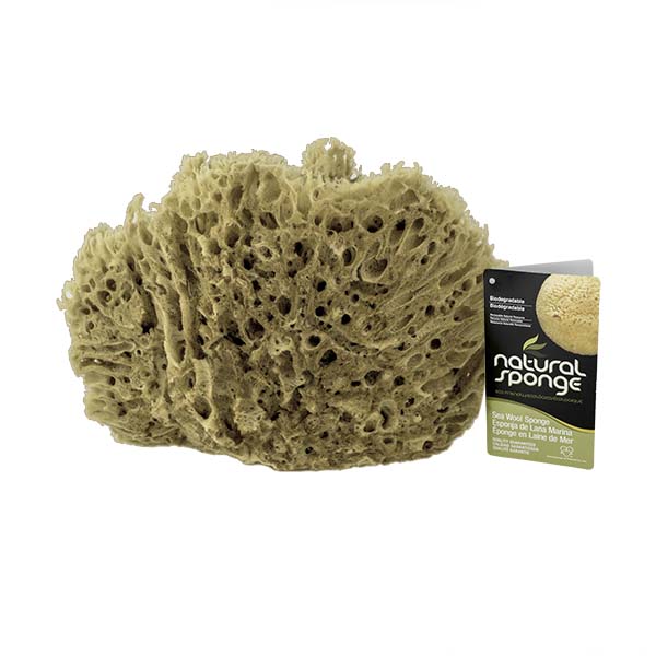 The Natural Brand - Wool Sea Sponge 11-12 Inch SW #1-1112C | Back w/ Label