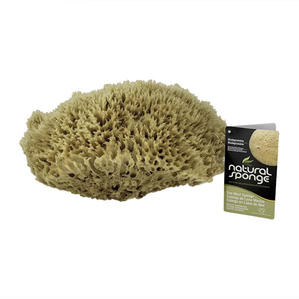 The Natural Brand - Wool Sea Sponge 11-12 Inch SW #1-1112C | Bottom w/ Label