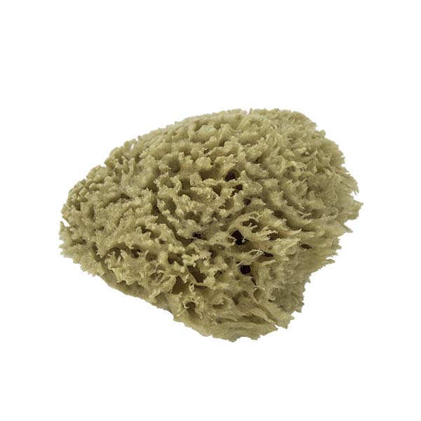 The Natural Brand - Wool Sea Sponge 4-5 Inch SW #1-4050C | Side 1