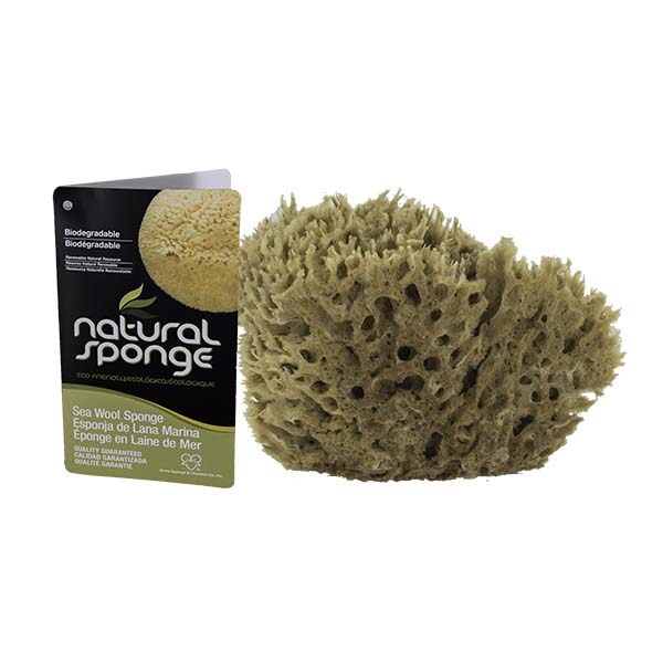 The Natural Brand - Wool Sea Sponge 5-6 Inch SW #1-5060C | Back with Label