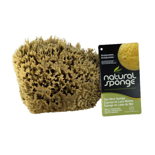 The Natural Brand - Wool Sea Sponge 6-7 Inch SW #1-6070C | Front 2 with Label