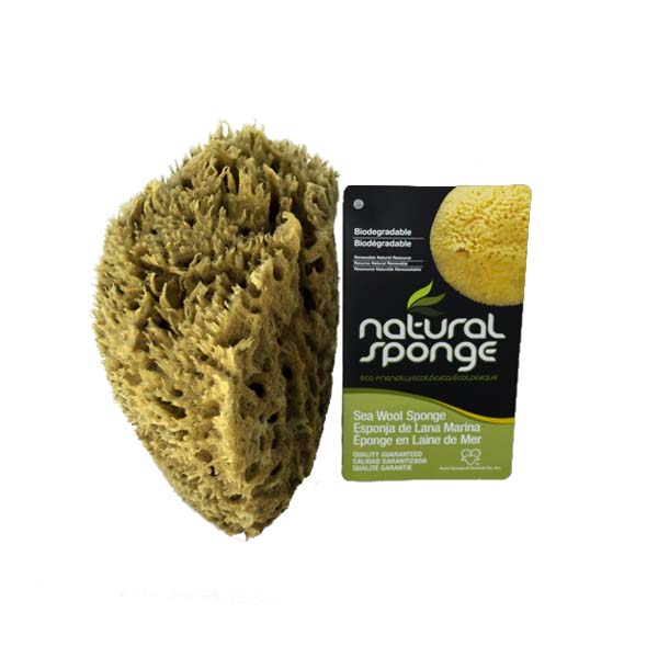 The Natural Brand - Wool Sea Sponge 6-7 Inch SW #1-6070C | Side with Label