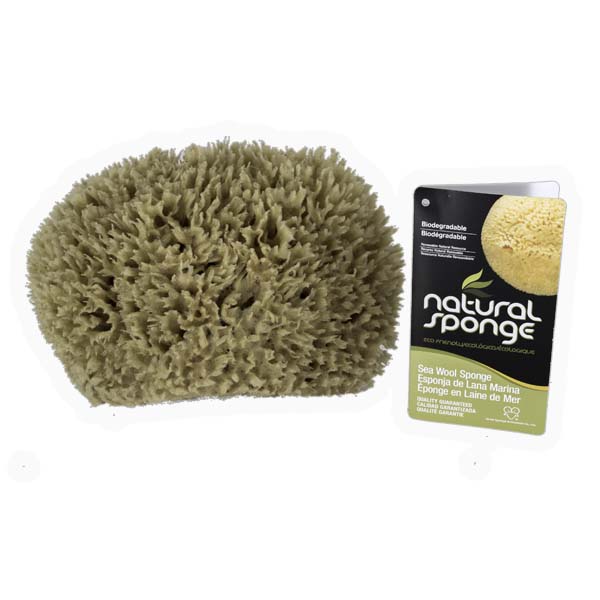 The Natural Brand - Wool Sea Sponge 6-7 Inch SW #1-7080C | Front with Label