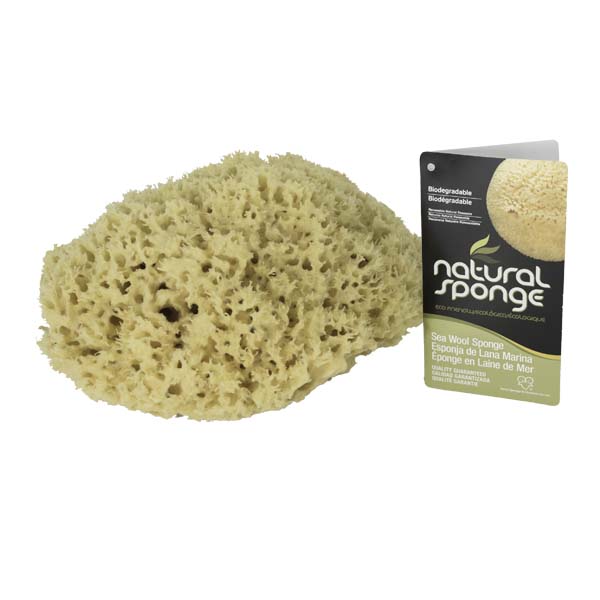 The Natural Brand - Wool Sea Sponge 8-9 Inch SW #1-8090C | Top with Label