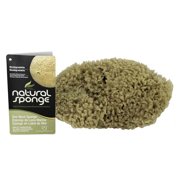 The Natural Brand - Wool Sea Sponge 9-10 Inch SW #1-9010C | Front with Label