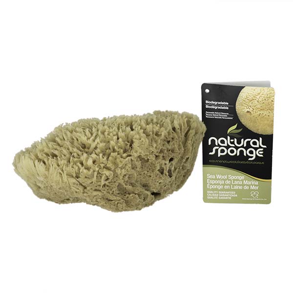 The Natural Brand - Wool Sea Sponge 9-10 Inch SW #1-9010C | Side with Label