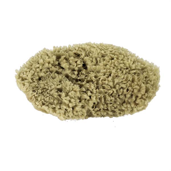 The Natural Brand - Wool Sea Sponge 9-10 Inch SW #1-9010C | Front w/o Label