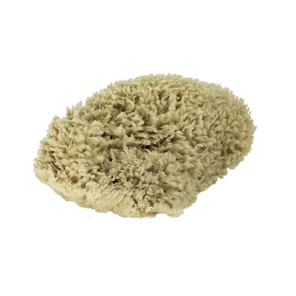 The Natural Brand - Wool Sea Sponge 9-10 Inch SW #1-9010C | Top w/o Label