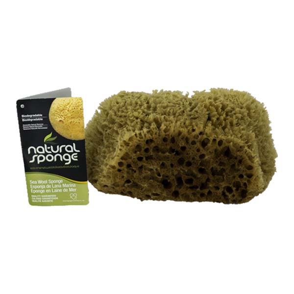 The Natural Brand - Wool Sea Sponge 5-6 Inch SW #1-1011C | Bottom with Label