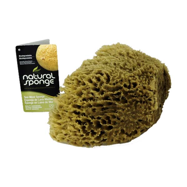 The Natural Brand - Wool Sea Sponge 5-6 Inch SW #1-1011C | Side 2 with Label