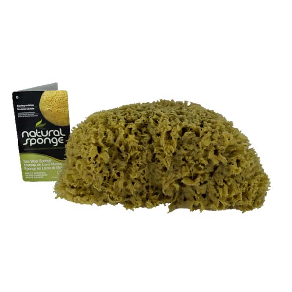 The Natural Brand - Wool Sea Sponge 5-6 Inch SW #1-1011C | Top with Label
