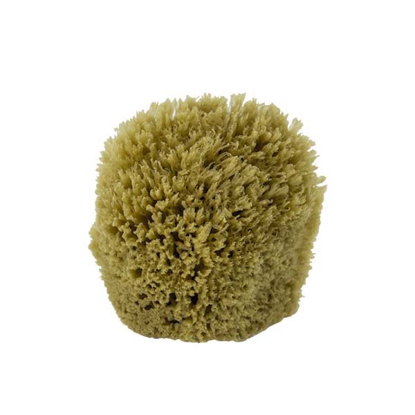 The Natural Brand - Yellow Sea Sponge 4-5 Inch Y-4050 | Front