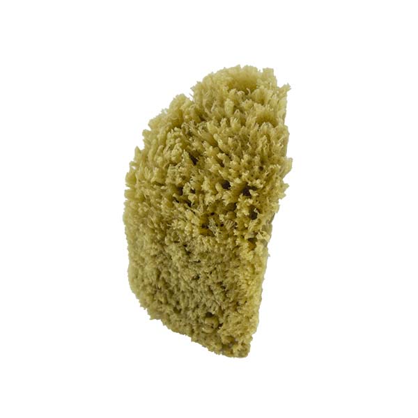 The Natural Brand - Yellow Sea Sponge 4-5 Inch Y-4050 | Side 2