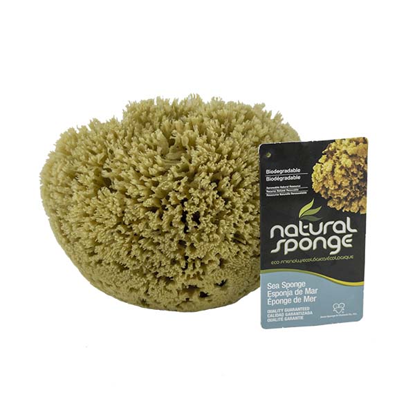 The Natural Brand - Yellow Sea Sponge 6-7 Inch Y-6070 | Front with Label