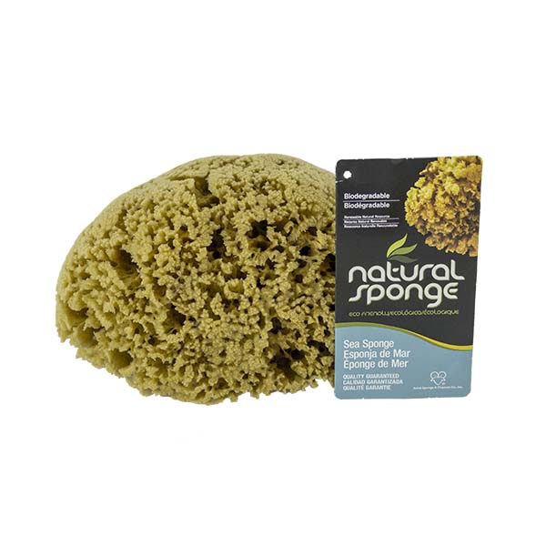 The Natural Brand - Yellow Sea Sponge 7-8 Inch Y-7080 | Top with Label
