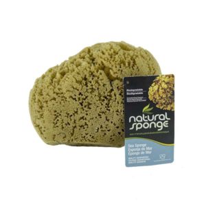 The Natural Brand - Yellow Sea Sponge 7-8 Inch Y-7080 | Front with Label
