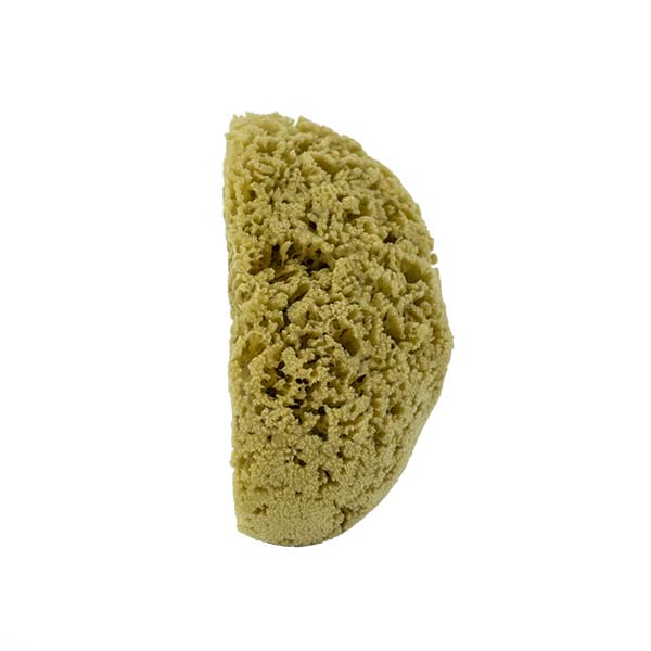 The Natural Brand - Yellow Sea Sponge 7-8 Inch Y-7080 | Side 1
