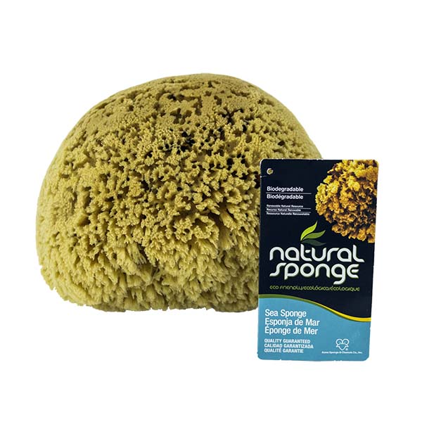 The Natural Brand - Yellow Sea Sponge 8-9 Inch Y-8090 | Front with Label