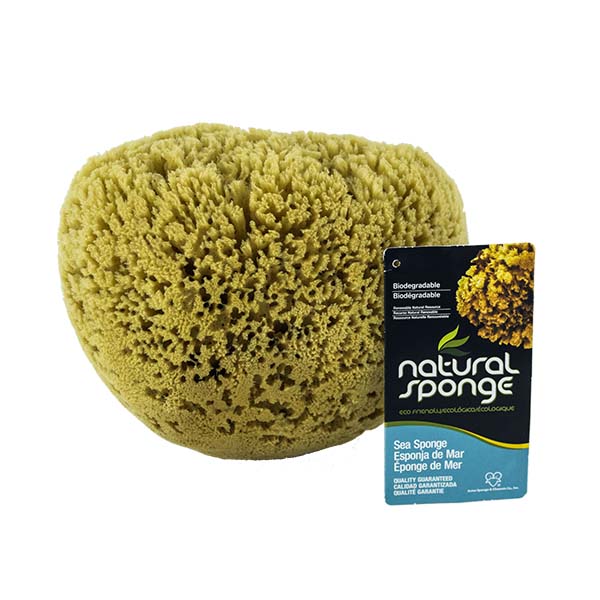The Natural Brand - Yellow Sea Sponge 8-9 Inch Y-8090 | Front with Label 2
