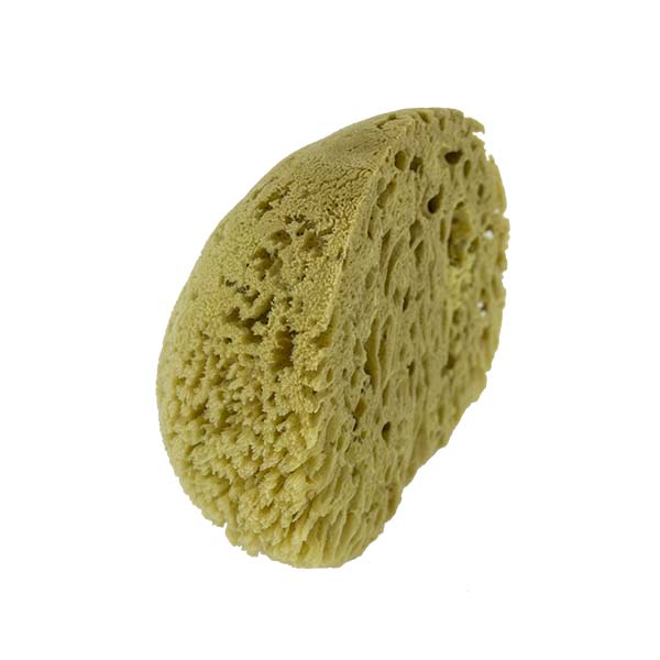 The Natural Brand - Yellow Sea Sponge 8-9 Inch Y-8090 | Side 4