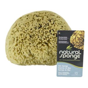 The Natural Brand - Yellow Sea Sponge 9-10 Inch Y-9010 | Front with Label 2