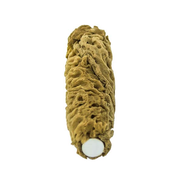 The Natural - Sponge Effects - Natural Sea Sponge Paint Roller 6.5 Inch View 2